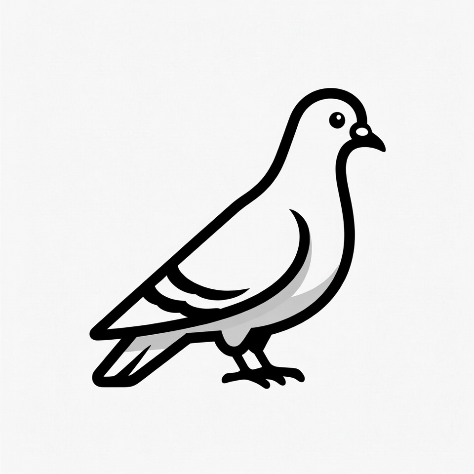 Pigeon