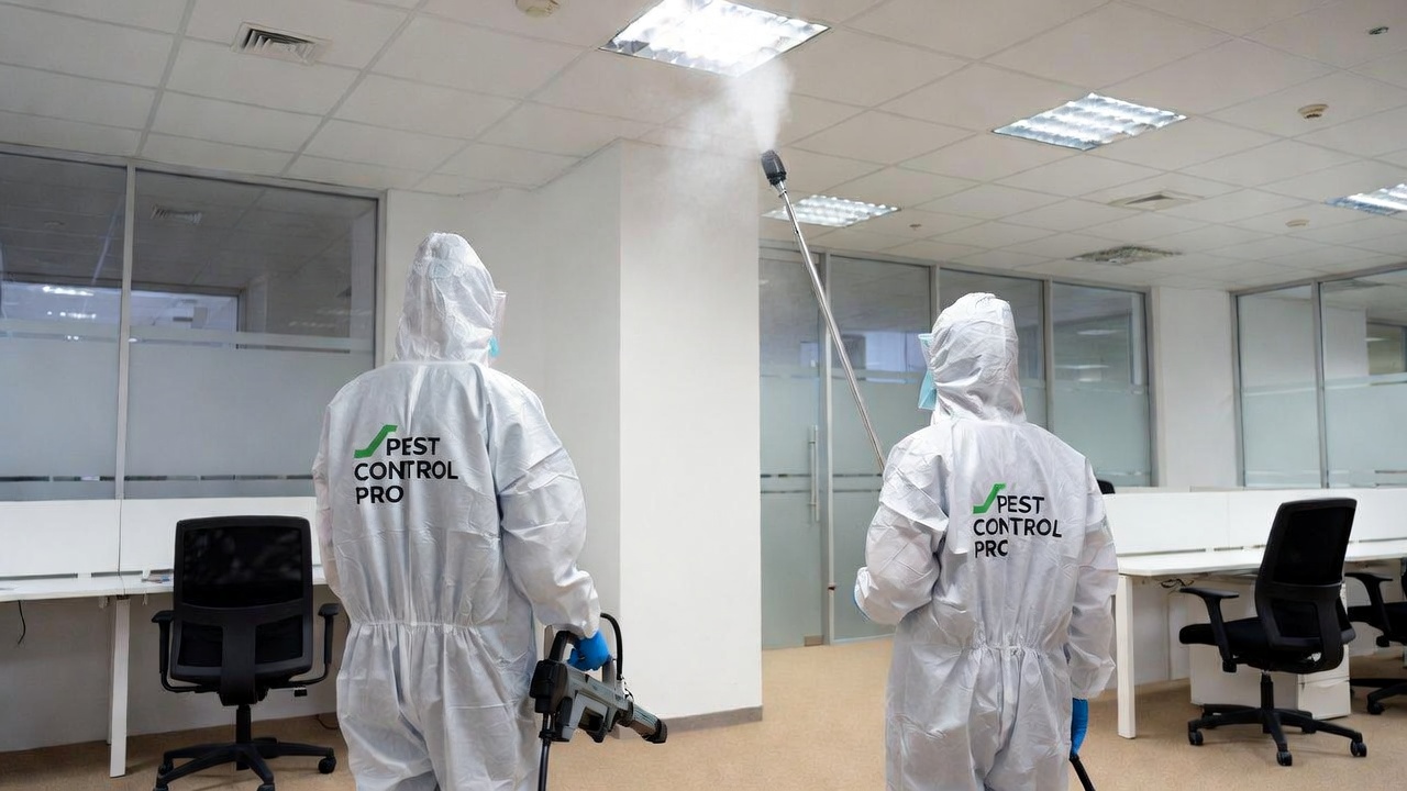 Désinfection Bureaux Casablanca — après intervention