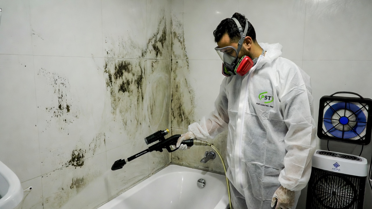 Moisissures et champignons — Désinfection Casablanca